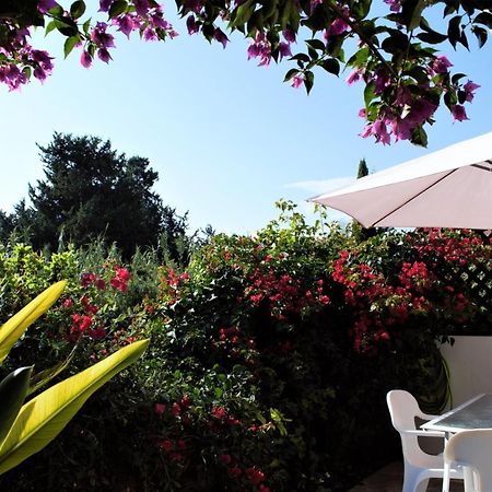 Townhouse In Paradise Gardens Пафос Екстериор снимка